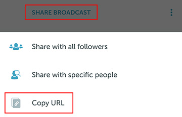 share_broadcast_panel